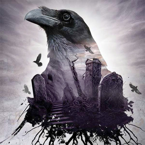 Alchemy The Seer Dell Inspiron Skin